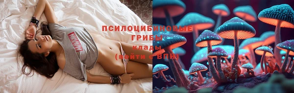 бошки Магадан