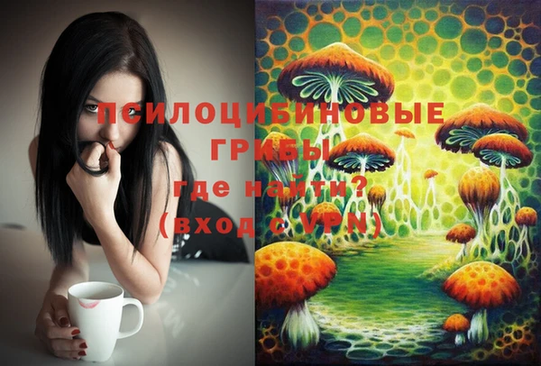 бошки Магадан