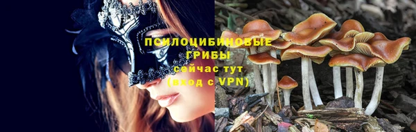 бошки Магадан