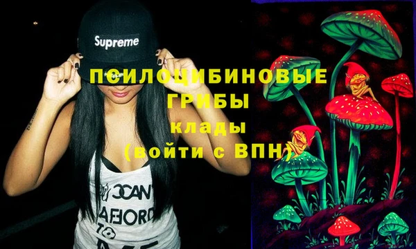 ешки Магас
