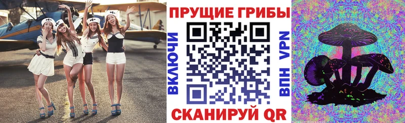 Купить где Харовск Галлюциногенные грибы Psilocybine cubensis
